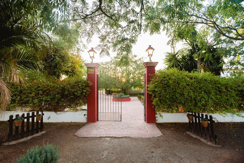 Cortijo Carrillo Bed & Breakfast Cartaojal ภายนอก รูปภาพ